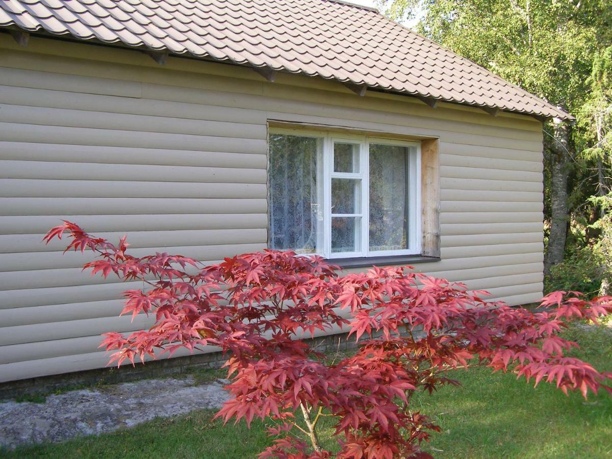 Kipi-Koovi Holiday Centre Екстер'єр фото